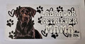 Labrador Retriever #154