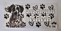 Dalmatiër Mama #155