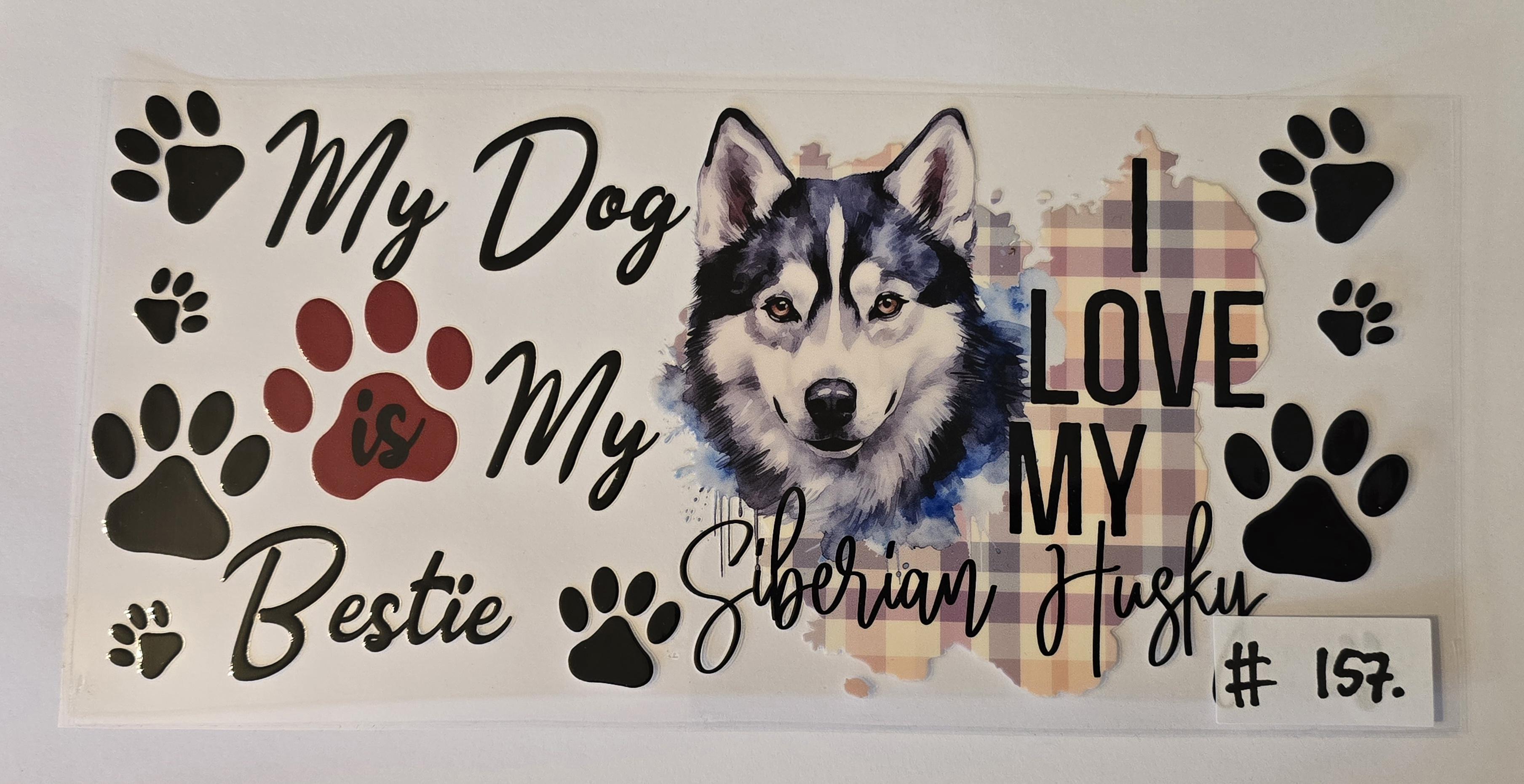 Siberische Husky #157